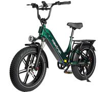 La bicicletta elettrica Maxtron Camel è dotata di un motore da 500 W, una batteria da 48 V 18 Ah, una velocità massima di 40 km/h, un'autonomia di 120 km e pneumatici da 20*4,0 pollici, Vert. - Nouvo