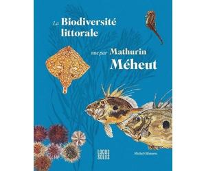 La biodiversité littorale vue par Mathurin Méheut