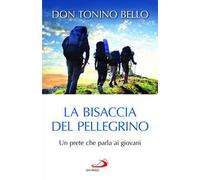 La bisaccia del pellegrino. Un prete che parla ai giovani