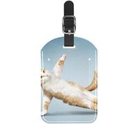La borsa di viaggio del cuoio dell'unità di elaborazione del gatto arancio di yoga etichetta la progettazione