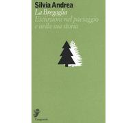 La Bregaglia. Escursioni nel paesaggio e nella sua storia - Andrea Silvia