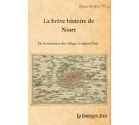 La brève histoire de Niort: De la naissance des villages à aujourd'hui