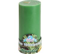La Briantina Candela Profumata Mangiafumo, Durata 75 Ore, 13x6 cm, Verde, Profumo di Muschio
