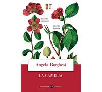 La camelia
