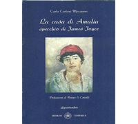 La casa di Amalia. Specchio di James Joyce