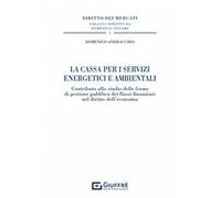 La Cassa per i servizi energetici e ambientali