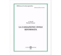 La Cassazione civile riformata
