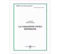 La Cassazione civile riformata