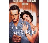 La Chatte sur un toit brûlant – Warner Bros.
