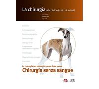 La chirurgia senza sangue. La chirurgia per immagini, passo dopo passo