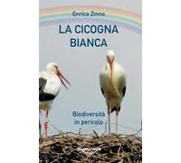 La cicogna bianca. Biodiversità in pericolo