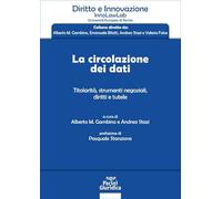 La circolazione dei dati. Titolarità, strumenti negoziali, diritti e tutele