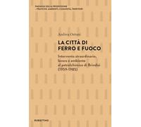 La città di ferro e fuoco. Intervento straordinario, lavoro e ambiente al petrolchimico di Brindisi (1959-1985)