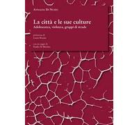 La città e le sue culture. Adolescenza, violenza, gruppi di strada