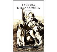 La coda della cometa