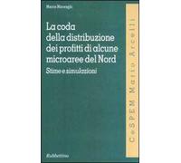 La coda della distribuzione dei profitti di alcune microaree del Nord. Stime e simulazioni