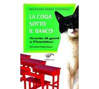 La coda sotto il banco. Scuola di gatti a Piombino