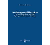 La collaborazione pubblico-privato e la sussidiarietà orizzontale. Da principio a modello efficace per lo sviluppo