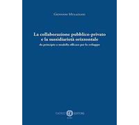 La collaborazione pubblico-privato e la sussidiarietà orizzontale. Da principio a modello efficace per lo sviluppo