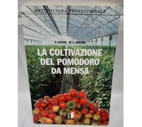 La coltivazione del pomodoro da mensa