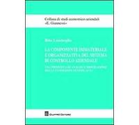 La componente immateriale e organizzativa del sistema di controllo aziendale. Una proposta di analisi e misurazione delle condizioni di efficacia