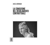 La condizione nel regolamento contrattuale