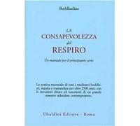 La consapevolezza del respiro. Un manuale per il principiante serio