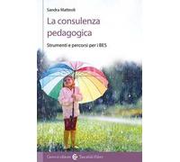 La consulenza pedagogica. Strumenti e percorsi per i BES