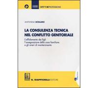 La consulenza tecnica nel conflitto genitoriale. L'affidamento dei figli, l'assegnazione della casa familiare e gli oneri di mantenimento