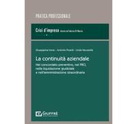 La continuità aziendale