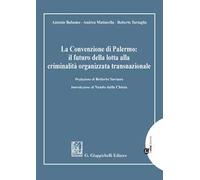 La Convenzione di Palermo: il futuro della lotta alla criminalità organizzata transnazionale