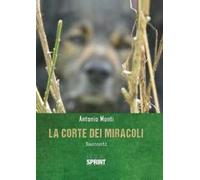 La corte dei miracoli