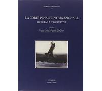 La corte penale internazionale. Problemi e prospettive