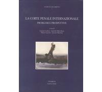 La corte penale internazionale. Problemi e prospettive