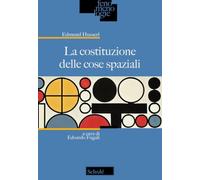 La costituzione delle cose spaziali