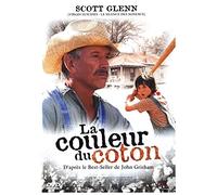 La couleur du coton