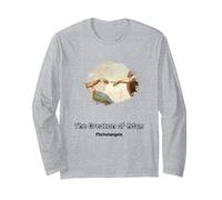 La creazione di Adamo Maglia a Manica