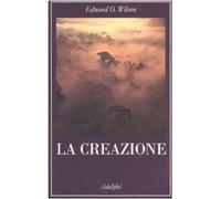 La creazione