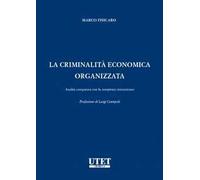 La criminalità economica organizzata