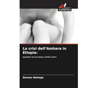 La crisi dell'Amhara in Etiopia:: questioni di sicurezza e diritti umani