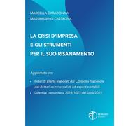 La crisi d'impresa e gli strumenti per il suo risanamento - 2020