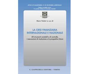 La crisi finanziaria internazionale e nazionale. Gli strumenti contabili e di controllo, i meccanismi di risoluzione e le prospettive future