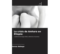 La crisis de Amhara en Etiopía:: cuestiones de seguridad y derechos humanos