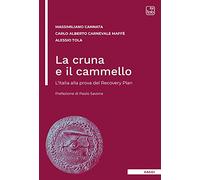 La cruna e il cammello. L'Italia alla prova del Recovery Plan