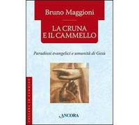 La cruna e il cammello. Percorsi evangelici e umanità di Gesù