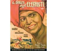 LA DANZA DEGLI ELEFANTI AVVENTURA
