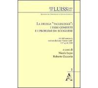 La delega «Taglialeggi»: i passi compiuti e i problemi da sciogliere. Atti del Seminario svoltosi alla Luiss Guido Carli (Roma, 1 aprile 2008)