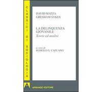 La delinquenza giovanile. Teorie ed analisi