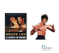 LA DESTINEE DU DRAGON