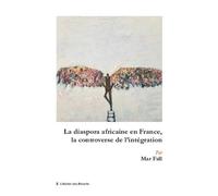 La diaspora africaine en France, la controverse de l'intégration